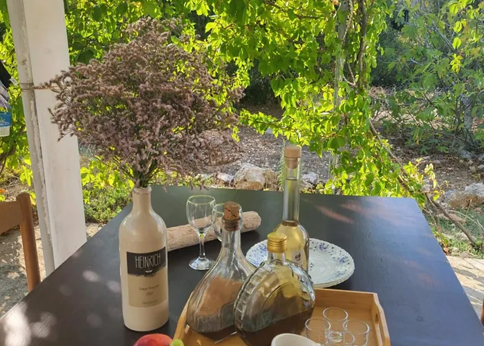 Robinzonski Turizam Gangaro 度假居